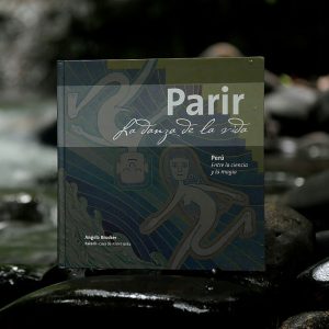 LIBRO PARIR SOLO LIBRO PARIR SOLO